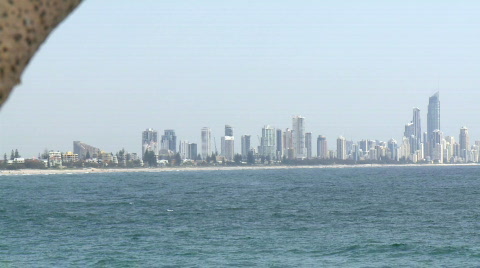 Gold Coast View From Burleigh Heads, Pandanus