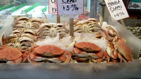 Seafood Stall