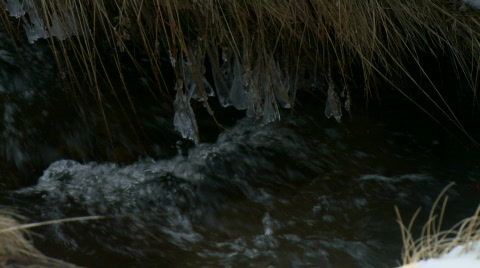 Rushing Fresh Water In Icy Mountain Stream