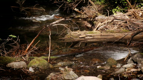 Mountain Stream