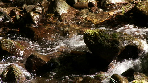 Mountain Stream