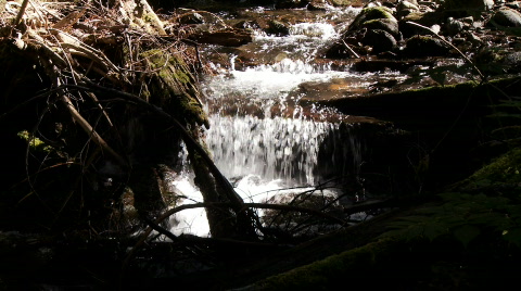 Mountain Stream