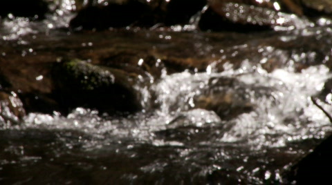 Mountain Stream