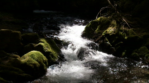 Mountain Stream