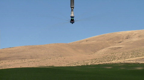 Irrigation Sprinkler On Farm