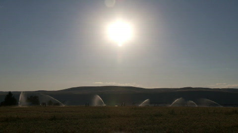Irrigation Farming