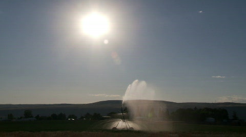 Crop Irrigation