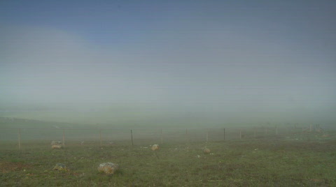 Foggy Morning - Farmland, Fog Clearing Time Lapse