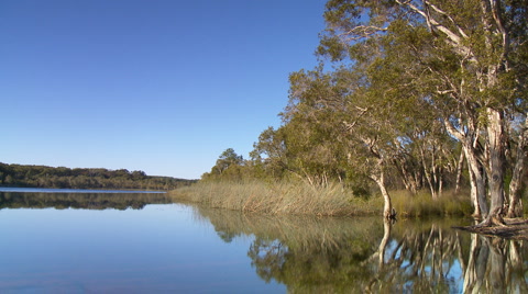 Serenity, Glassy Lake Static Shot, Brown Lake