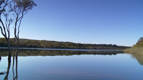 Tranquil Lake Panned - Brown Lake, North Stradbroke Island