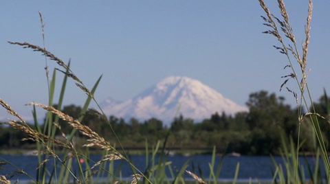 Mt Rainier Seen From Seattle