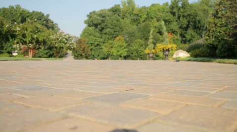 Kids Ride Past Camera On Bicycles