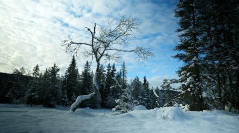Winter Landscape Time Lapse Dolly Shot