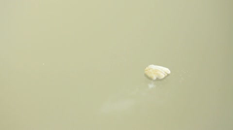 Stock Footage Of Oatmeal