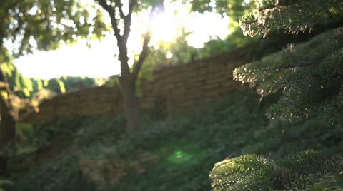 Green Nature