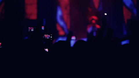 People At Rock Concert