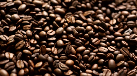 Coffee Bean Texture