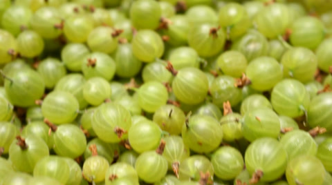 Gooseberries