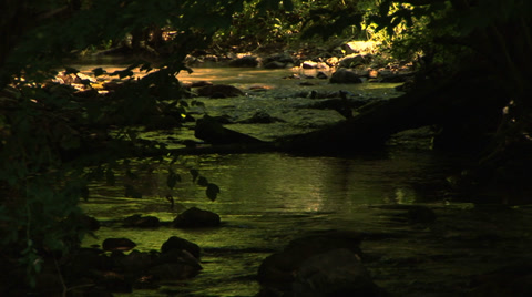 Green Small River