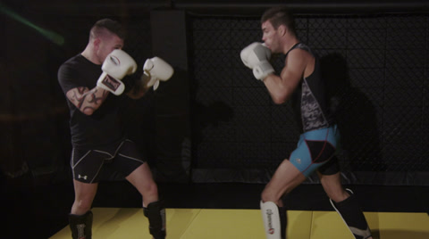 Mixed Martial Arts - Boxing - Wrestling - Sparring