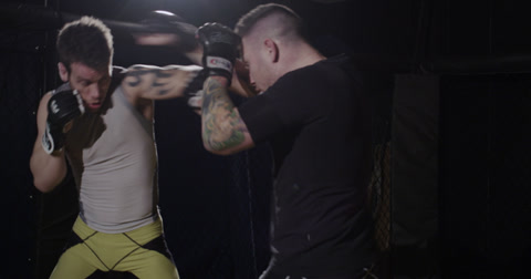 Mixed Martial Arts Fighters In The Ring - Boxing Style