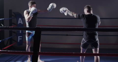 Mixed Martial Arts - Fighters Starting A Round - Extreme Sports