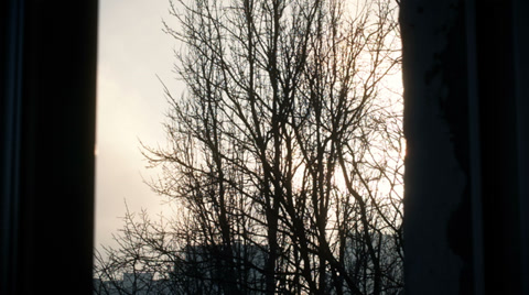 Scene From Window