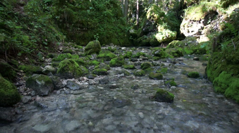 Small River In The Mountains