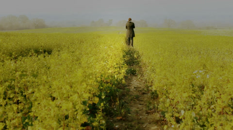 Day Dreaming, A Beautiful Day In The Country