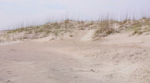 Recycle On The Beach 2