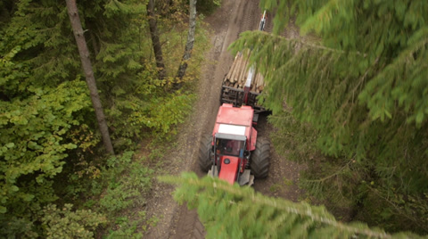 Stock Footage, Aerial View Flies Over The Forest And The Tractor