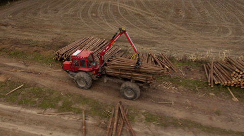 Stock Video Footage Flight Over The Felling Of Trees, Aerial View
