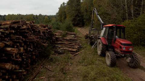 Stock Video Footage Flight Over The Felling Of Trees, Aerial View
