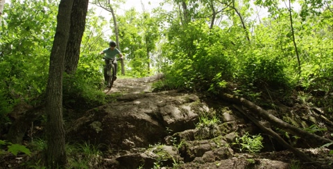 Extreme Sport - Downhill Mountain Biking