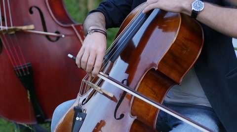 Playing The Cello With A Bow - Stringed Musical Instrument