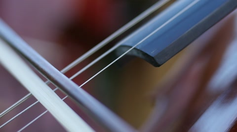 Playing The Cello With A Bow - Stringed Musical Instrument Closeup