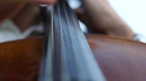 Playing The Cello With Fingers - Stringed Musical Instrument