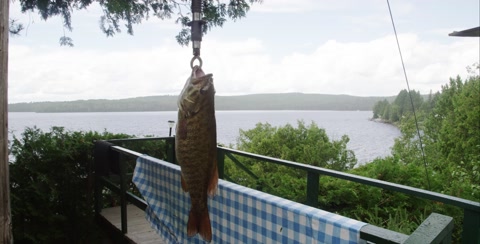 Fresh Water Fishing - Hanging The Catch After The Trip