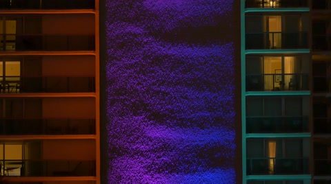 Neon Lights At Night