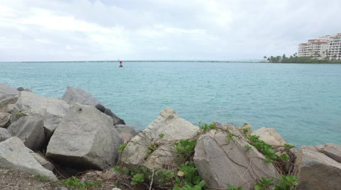 Rocks At South Pointe Park