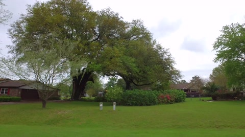 Middle Class Neighborhood