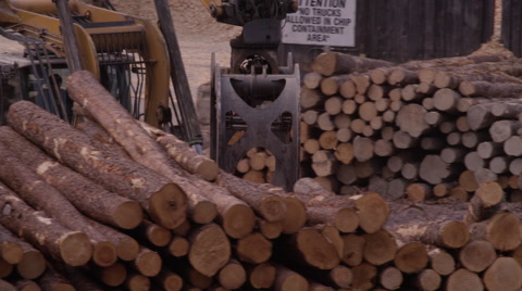 Logging Industry - Forestry And Wood Production