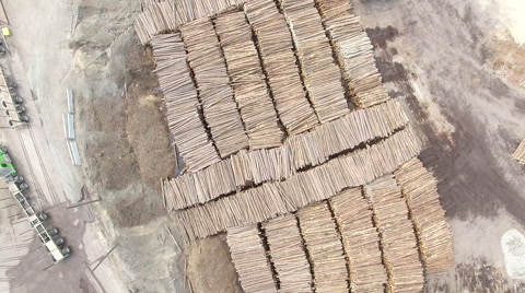 Logging Industry - Forestry And Wood Production Aerial Of Yard
