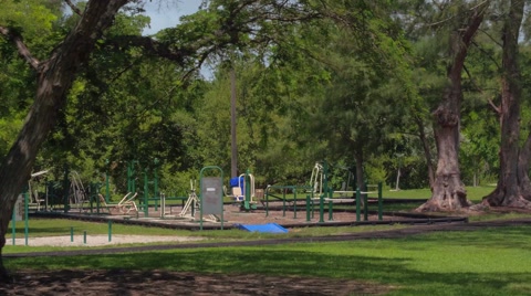 Fitness Equipment In The Park