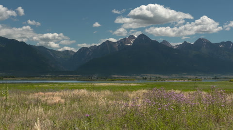 Mission Valley, Montana, Field And Mountains